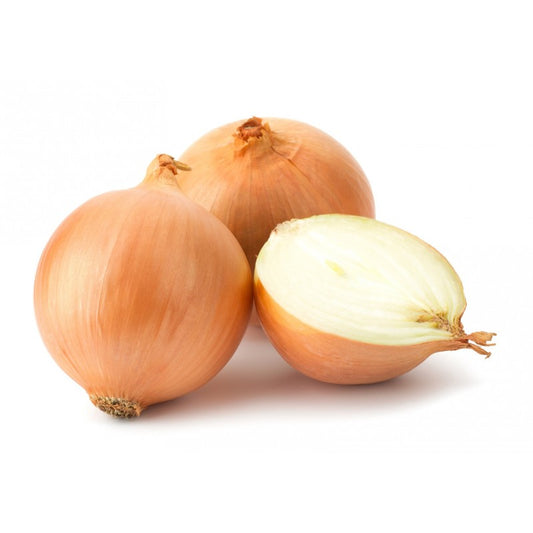 Cebula biała